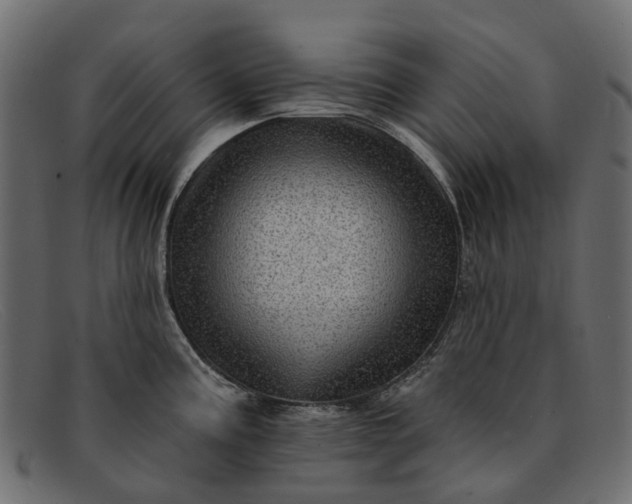 X0000091931195200709191353