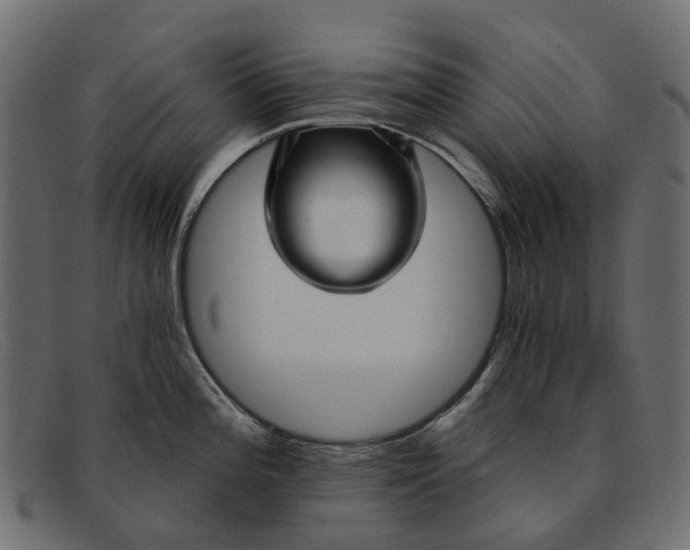 X0000091931196200709191353