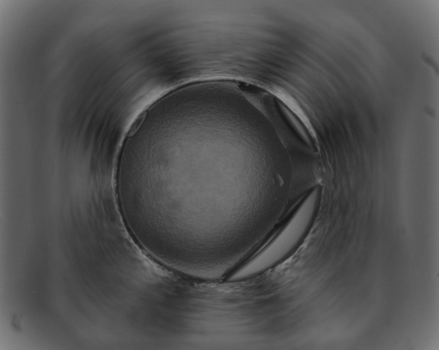 X0000091931197200709191353