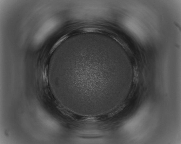 X0000091931198200709191353