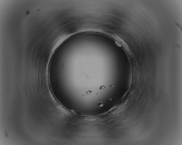 X0000091931199200709191353