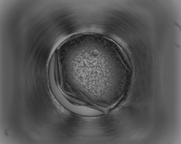 X0000091931200200709191353