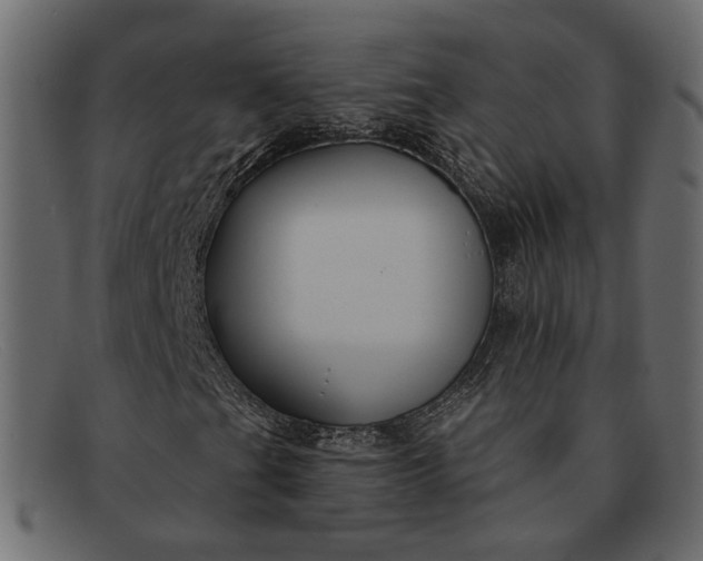X0000091931201200709191353