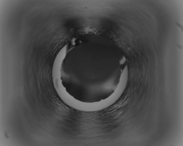 X0000091931202200709191353