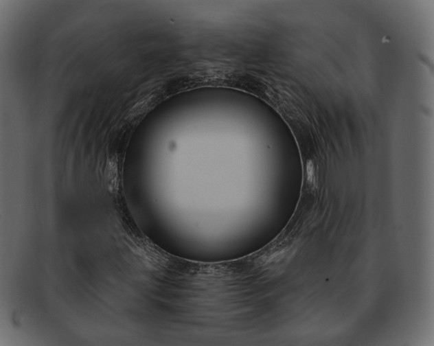 X0000091931203200709191353