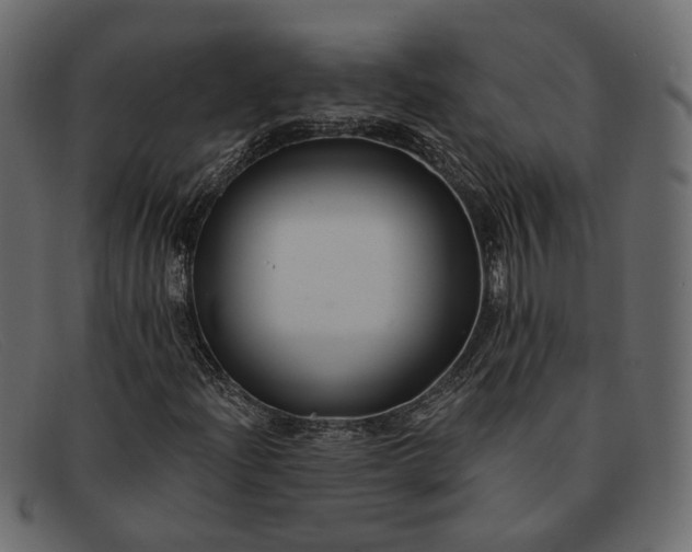 X0000091931204200709191353