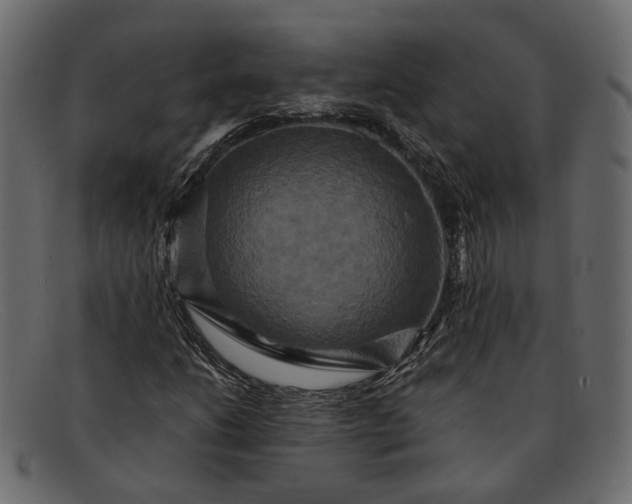 X0000091931206200709191353