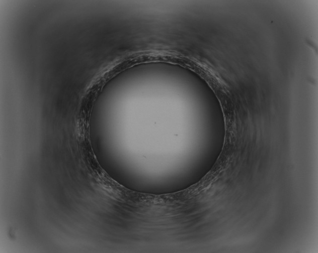 X0000091931207200709191353