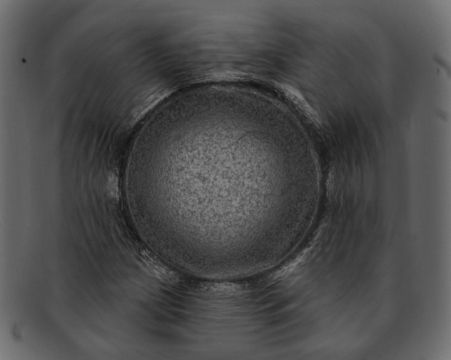 X0000091931209200709191353