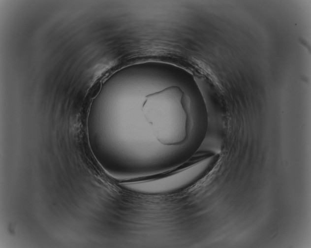 X0000091931210200709191353