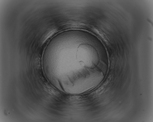 X0000091931211200709191353