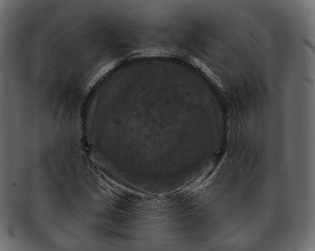 X0000091931213200709191353