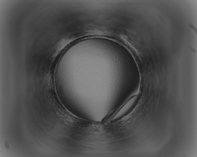 X0000091931215200709191353