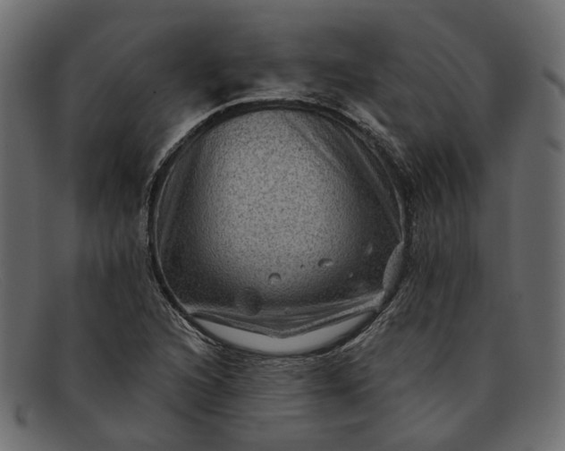 X0000091931216200709191353