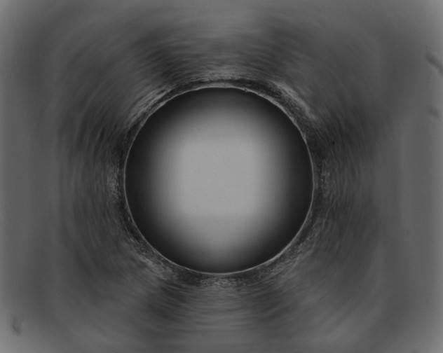 X0000091931217200709191353