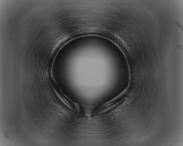 X0000091931218200709191353