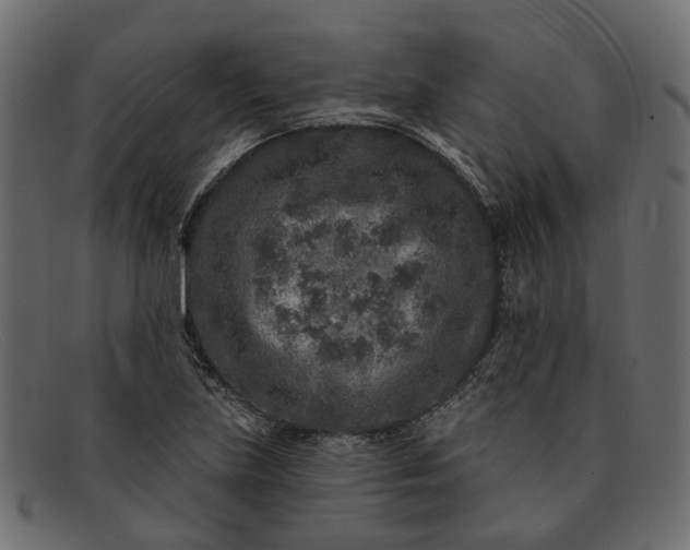 X0000091931219200709191353