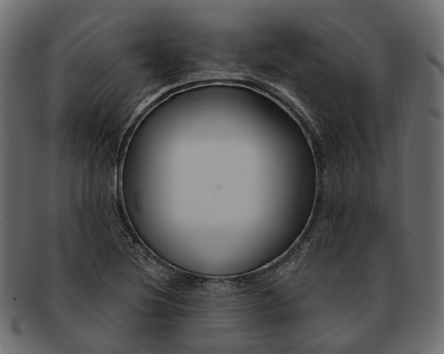 X0000091931220200709191353