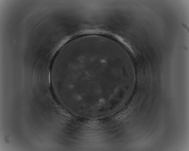 X0000091931221200709191353