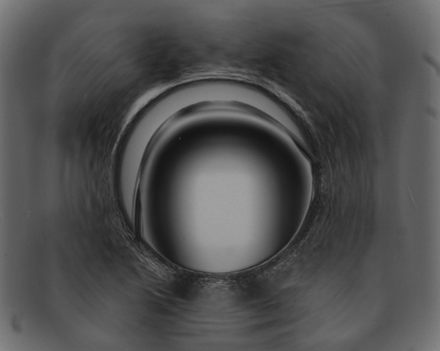 X0000091931222200709191353