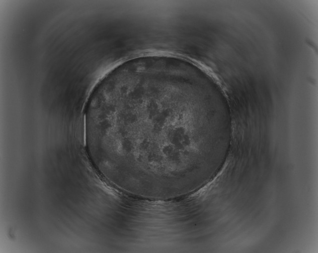 X0000091931223200709191353