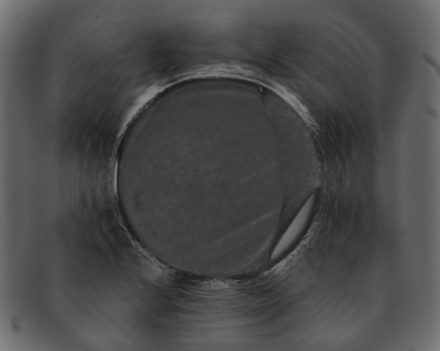 X0000091931224200709191353