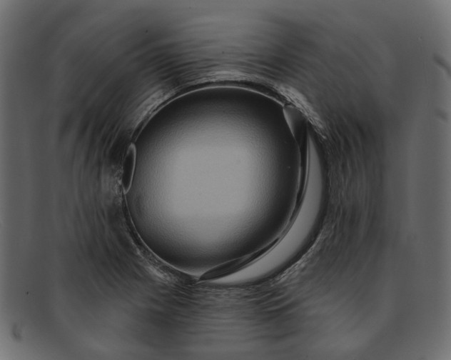 X0000091931225200709191353