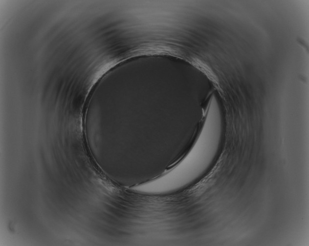 X0000091931226200709191353