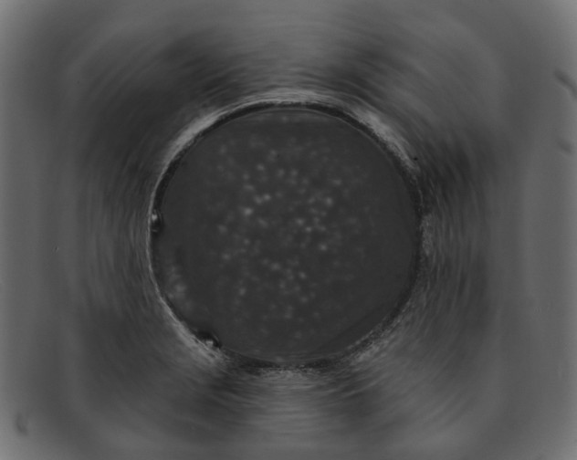 X0000091931229200709191353