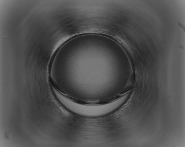 X0000091931230200709191353