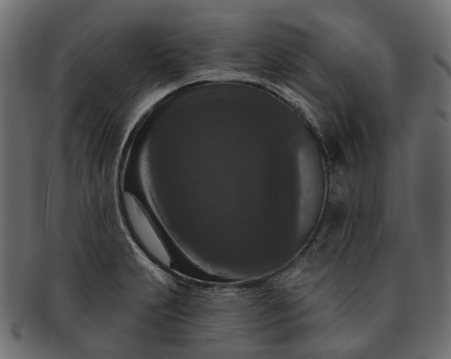 X0000091931231200709191353