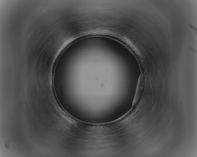 X0000091931232200709191353