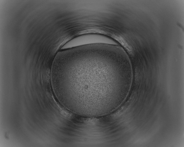 X0000091931233200709191353