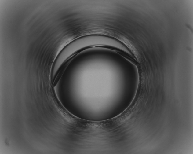 X0000091931234200709191353
