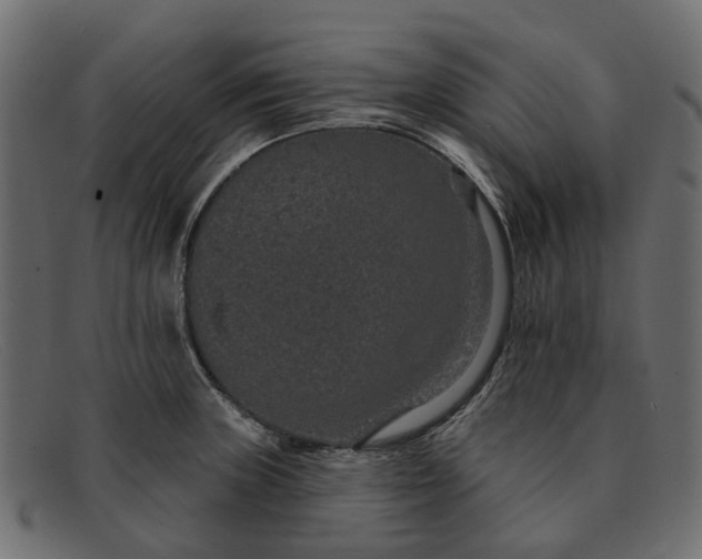 X0000091931235200709191353