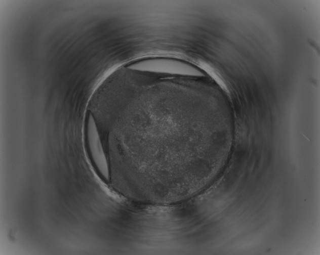 X0000091931237200709191353