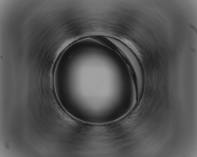 X0000091931238200709191353