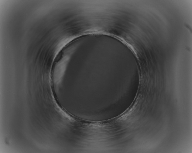 X0000091931239200709191353