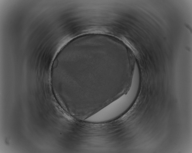 X0000091931240200709191353