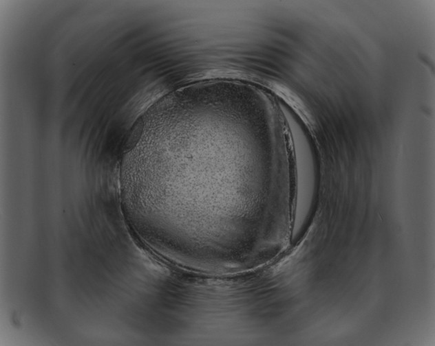 X0000091931241200709191353