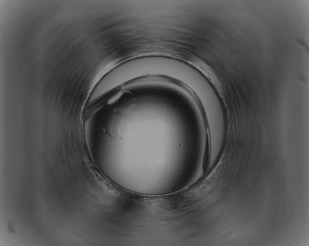 X0000091931242200709191353