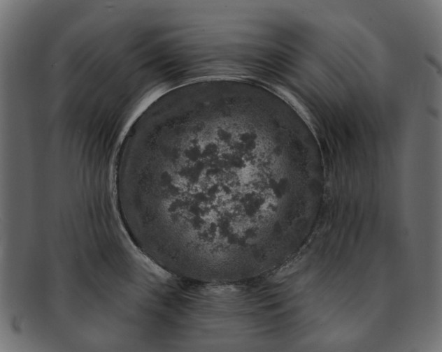 X0000091931243200709191353