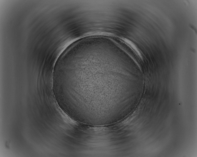 X0000091931244200709191353