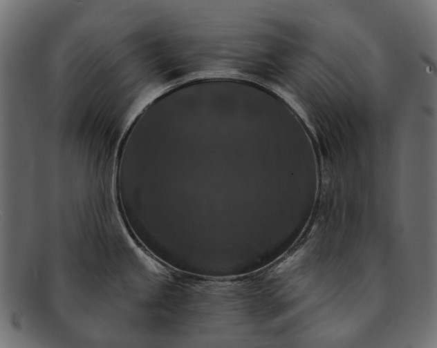 X0000091931245200709191353