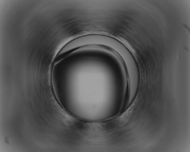 X0000091931246200709191353