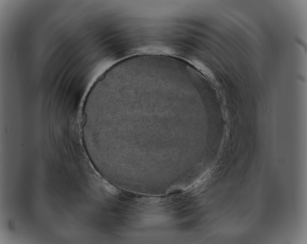 X0000091931248200709191353
