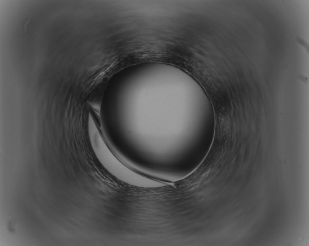 X0000091931250200709191353