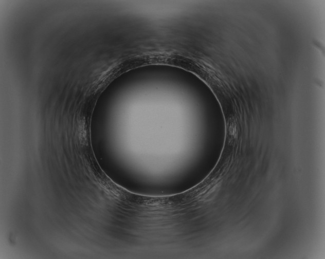 X0000091931252200709191353