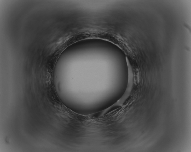 X0000091931253200709191353