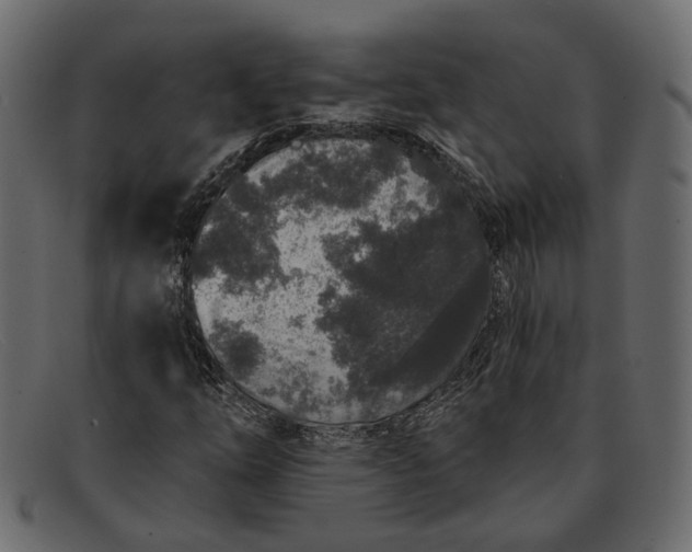 X0000091931254200709191353